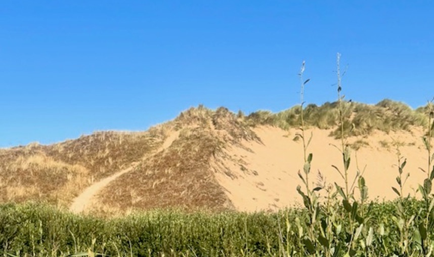 Sand Dunes - Patricia Bech Travel Notes